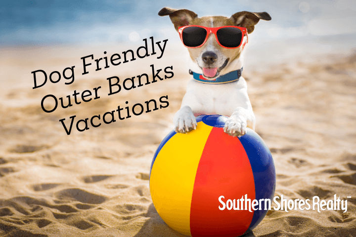 Dog Friendly Outer Banks Vacations