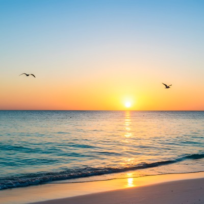 Southern Shores Realty | Outer Banks Property Management Company