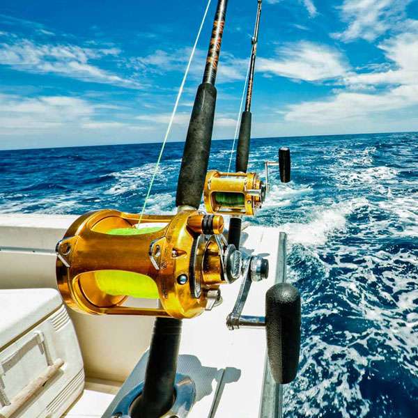 Thing To Do #request.qryThingsToDoCategories.title#