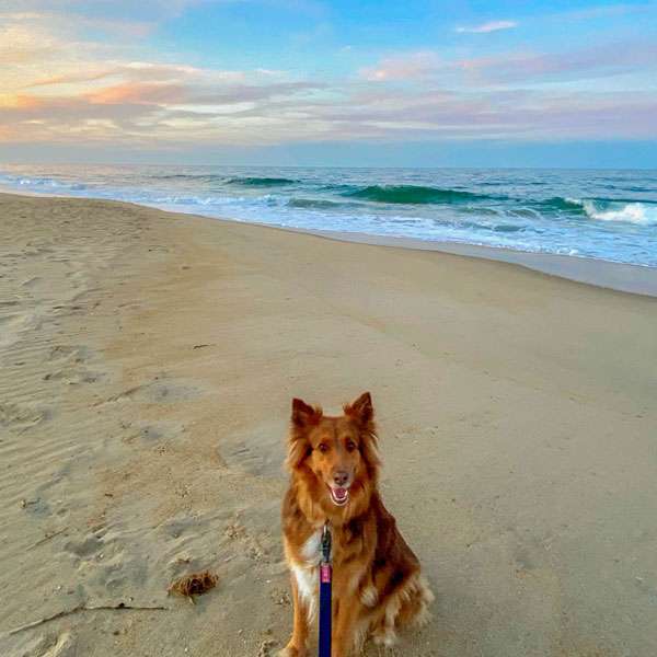 Thing To Do #request.qryThingsToDoCategories.title#